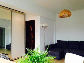 Гостиница Cozy Studio - Floreasca/​Dorobanti - Bucharest  Бухарест